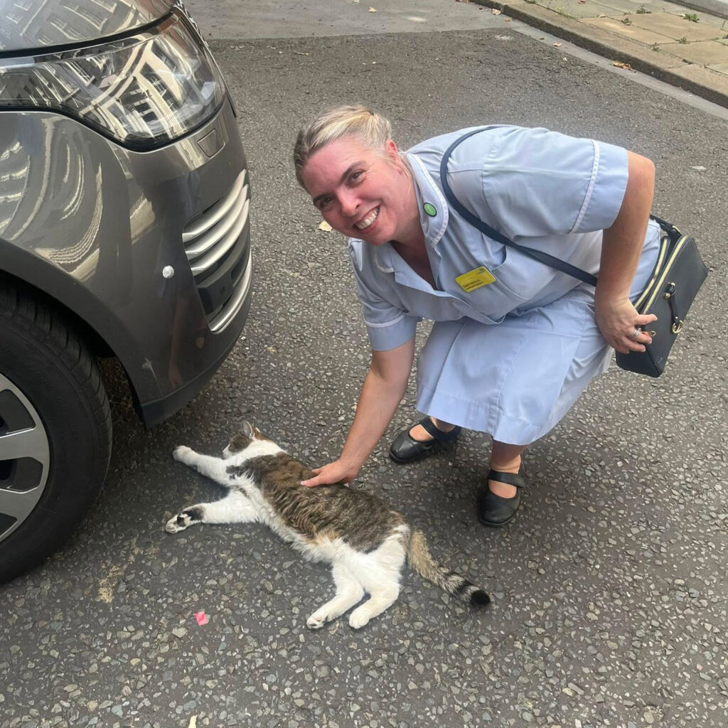 Sam Hemraj with Larry the cat